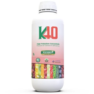 کا 40