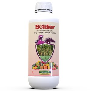 سولجر