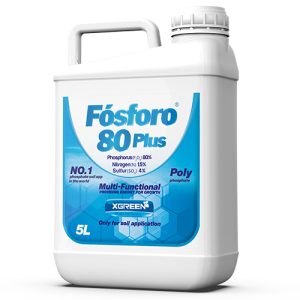 فسفرو 80 پلاس