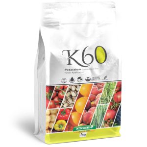 کا 60