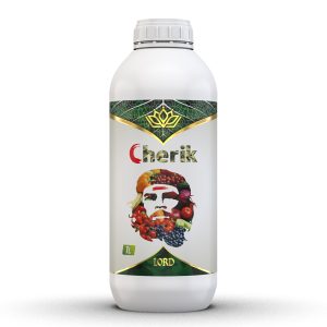 چریک