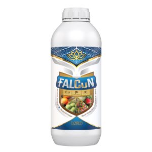 فالکون