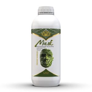 ماسک